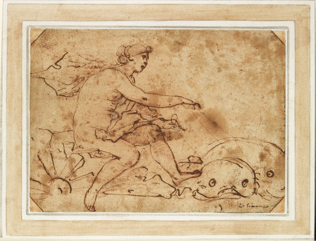 Triumf Galatea, 17. století (inkoust a červená křída na papíře) od Luca Giordano
