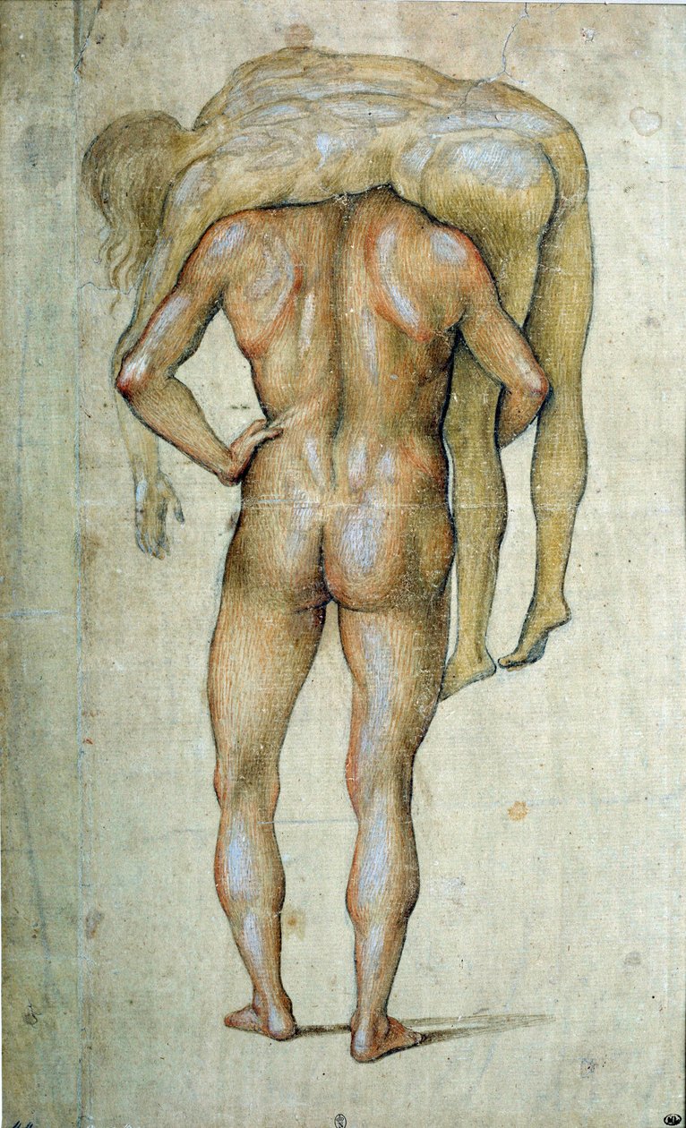Muž v těle Kresba od Lucy Signorelliho (1441-1523) Paříž 15. století, muzeum Louvre od Luca Signorelli