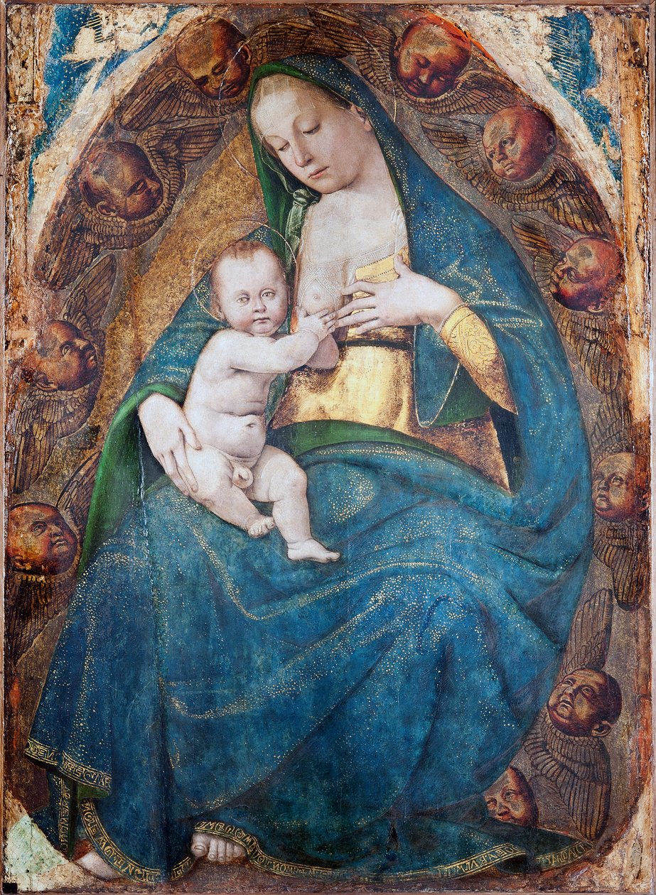 Kojící Madonna, 1482-c.1485 od Luca Signorelli
