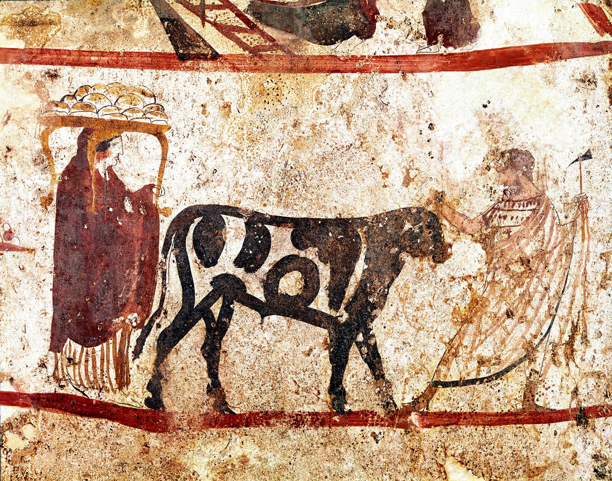Býk vede na obětním oltáři lucanská freska ze 4. století př. n. l. z nekropole Andriuolo v italském Paestu. Museo nazionale archeologico, Paestum od Lucanian School