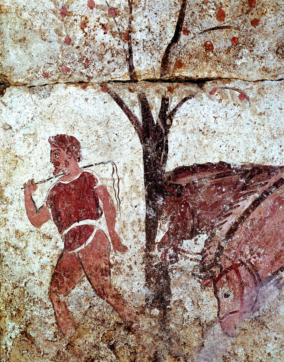 Rolník táhnoucí dva koně lucanská freska ze 4. století př. n. l. z nekropole Paestum v Itálii. Museo nazionale archeologico, Paestum od Lucanian School