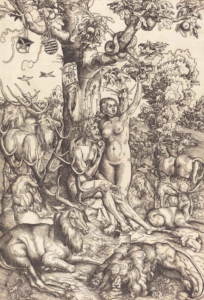 Adam a Eva (Národní galerie umění) od Lucas Cranach the Elder