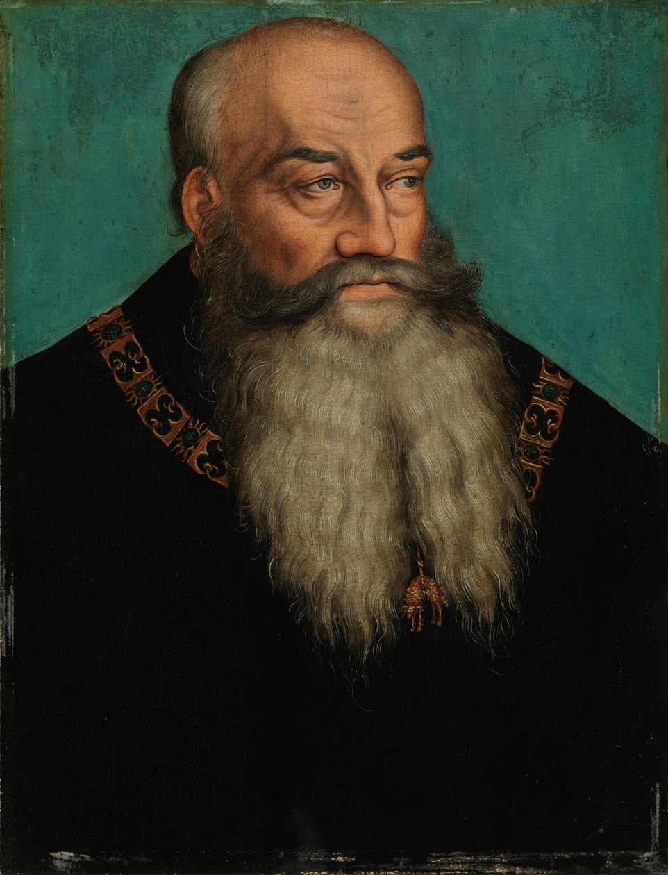 Vévoda Jiří vousatý ze Saska od Lucas Cranach the Elder