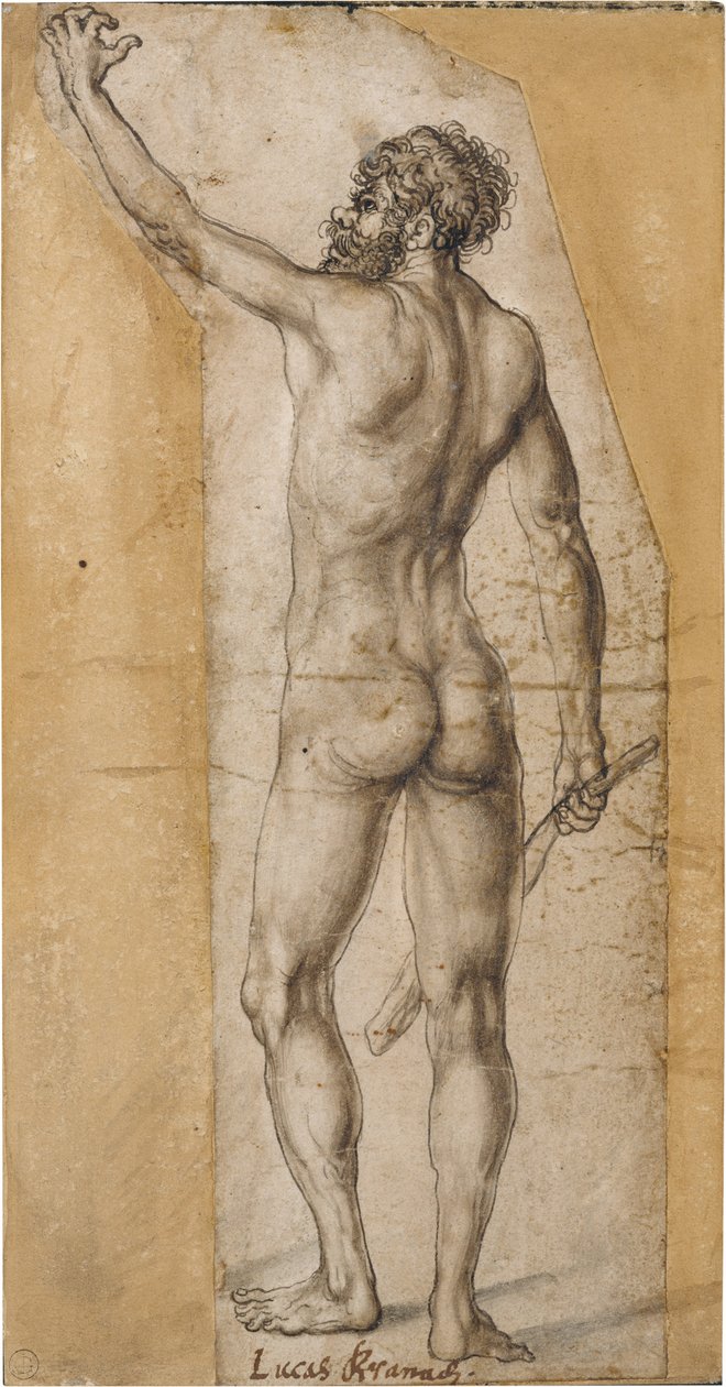 Zpětný akt stojícího muže od Lucas Cranach the Elder