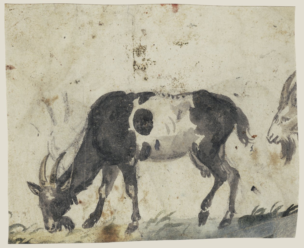 Studujte s kozami od Lucas Cranach the Elder
