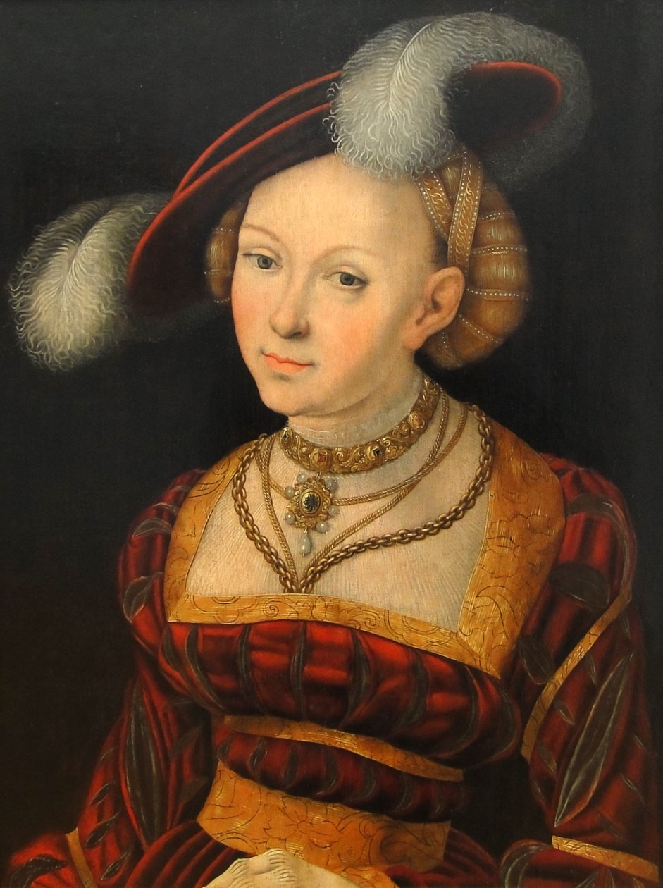 Ženská poloviční postava s péřovým kloboukem od Lucas Cranach the Elder