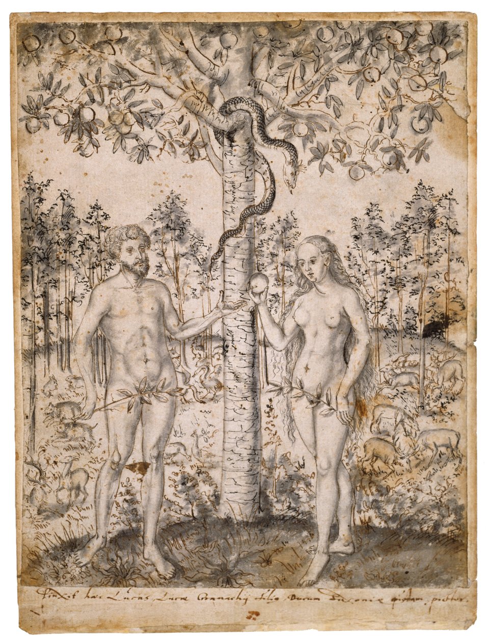 The Fall of Man, po roce 1549 (pero, černý a hnědý inkoust, s černým praním na položený papír) od Lucas Cranach the Elder