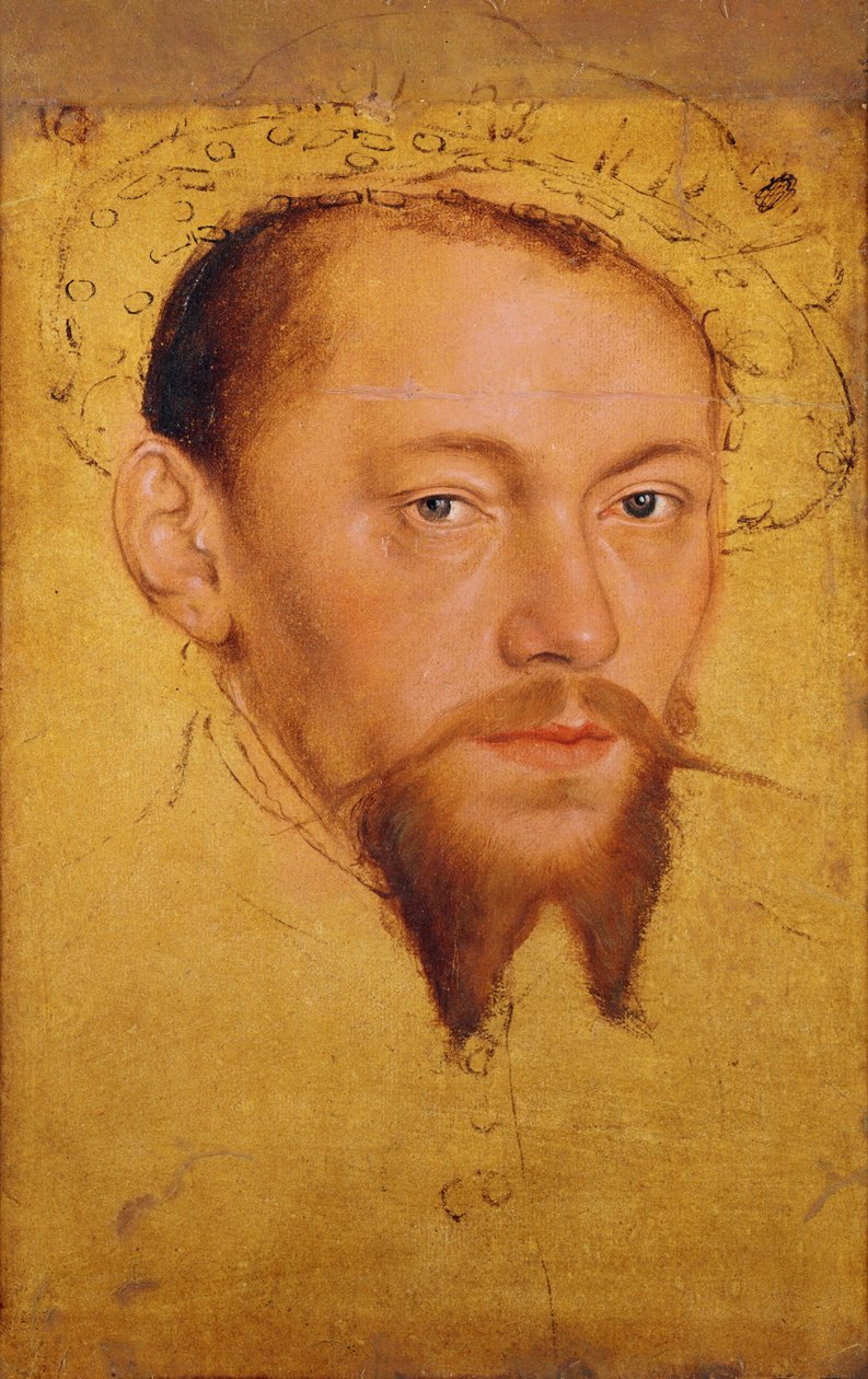 Moritze (1521-53) vévoda saský, později kurfiřt (olej, kvaš a wc na papíře) od Lucas Cranach the Younger