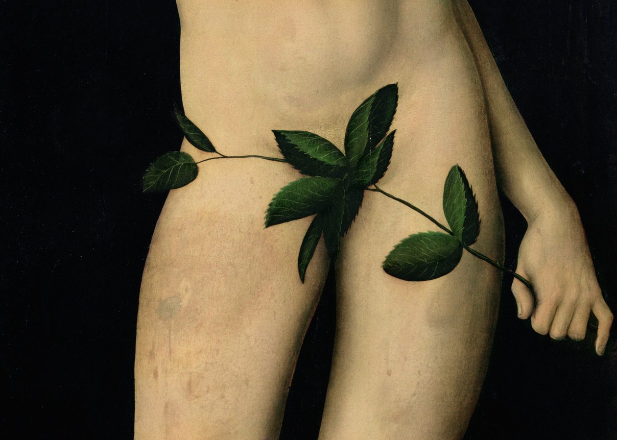 Adam, 1528 olej na detailu panelu z 9628 od Lucas Cranach the Elder