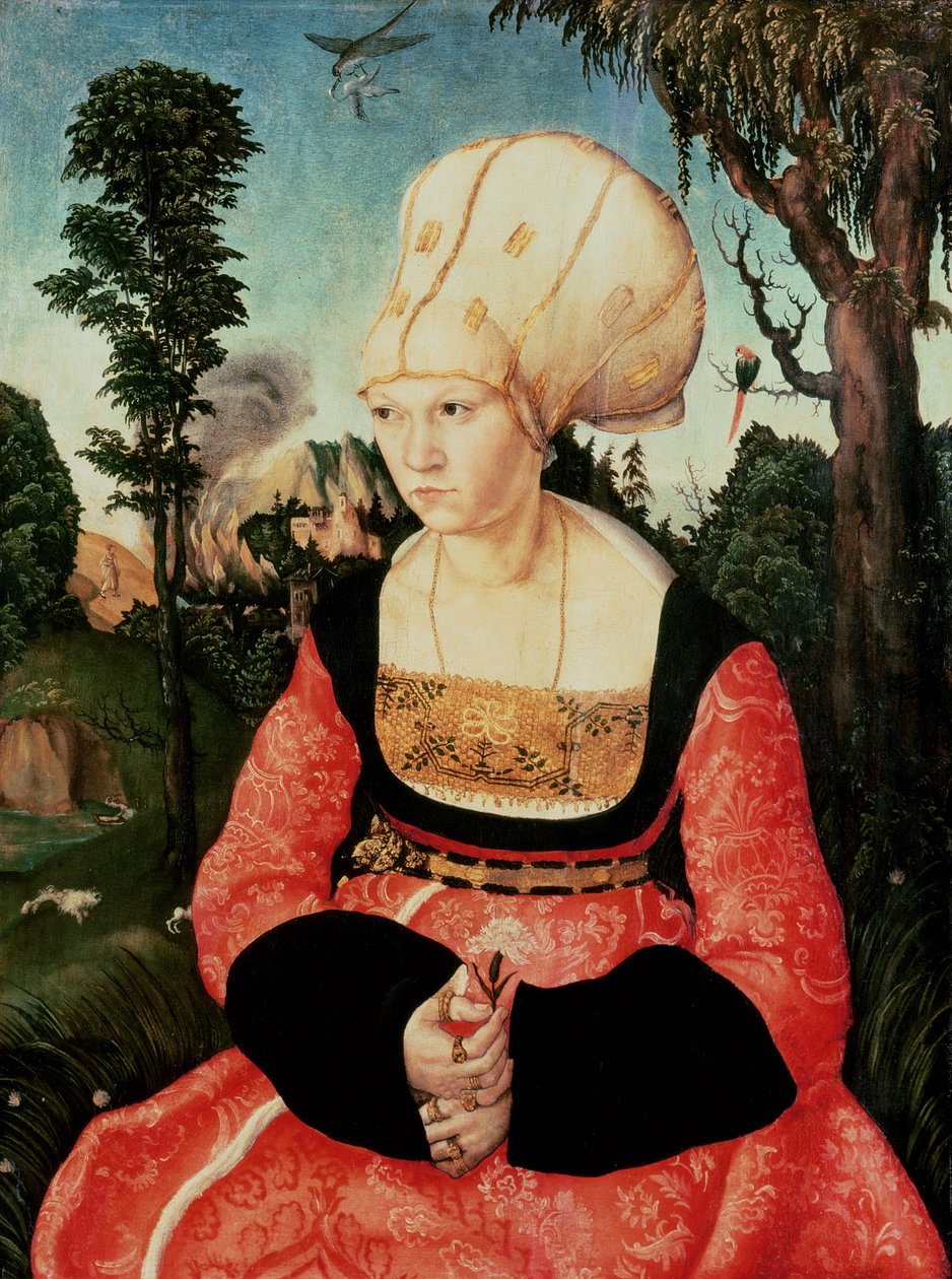Anna Cuspinianová od Lucas Cranach the Elder