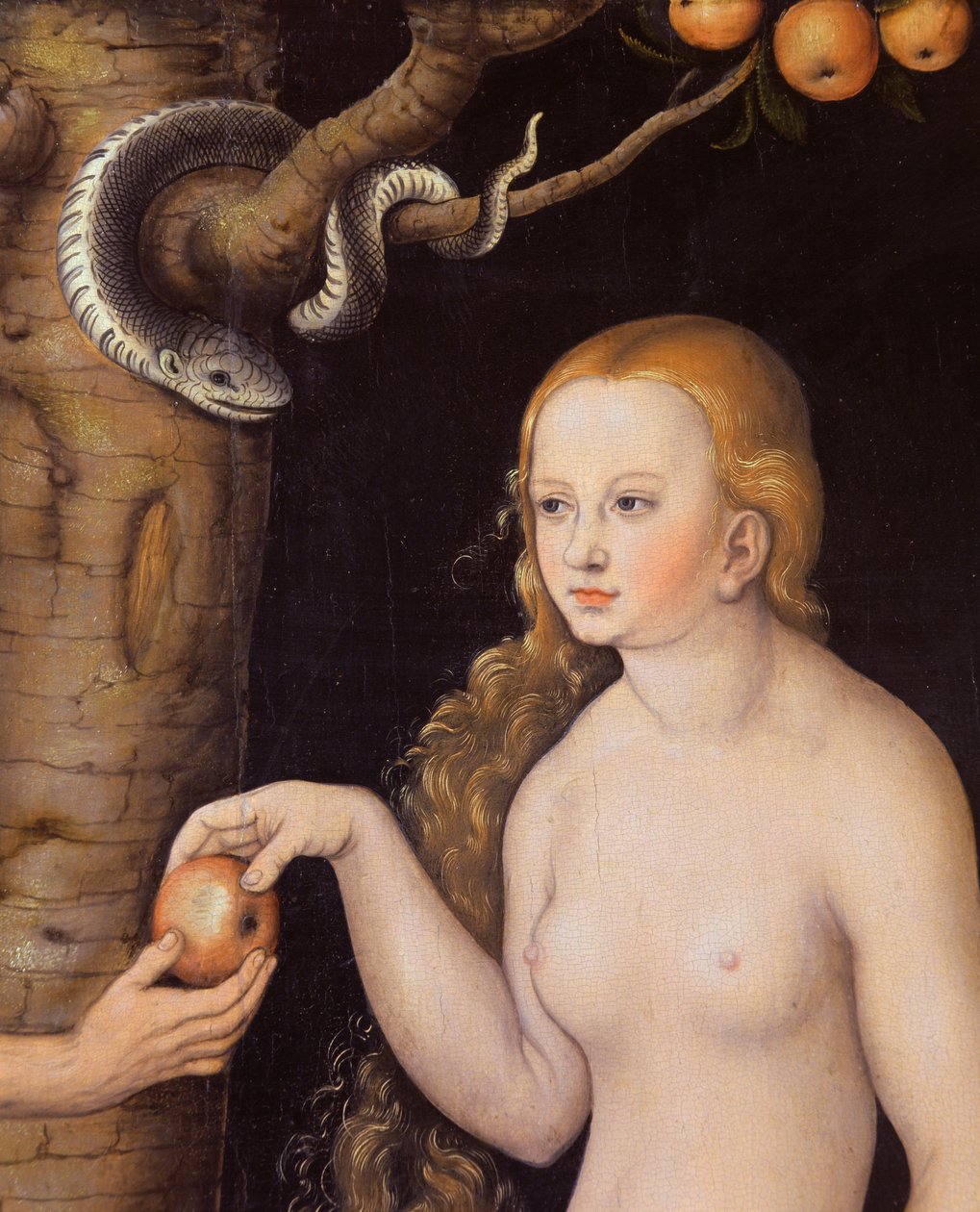 Eva nabízející jablko Adamovi v rajské zahradě a had, asi 1520-25 olej na dřevě detail 407328 od Lucas Cranach the Elder