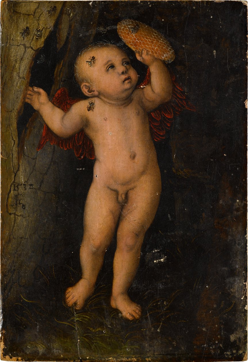 Amor als Honigdieb (Fragment) od Lucas Cranach