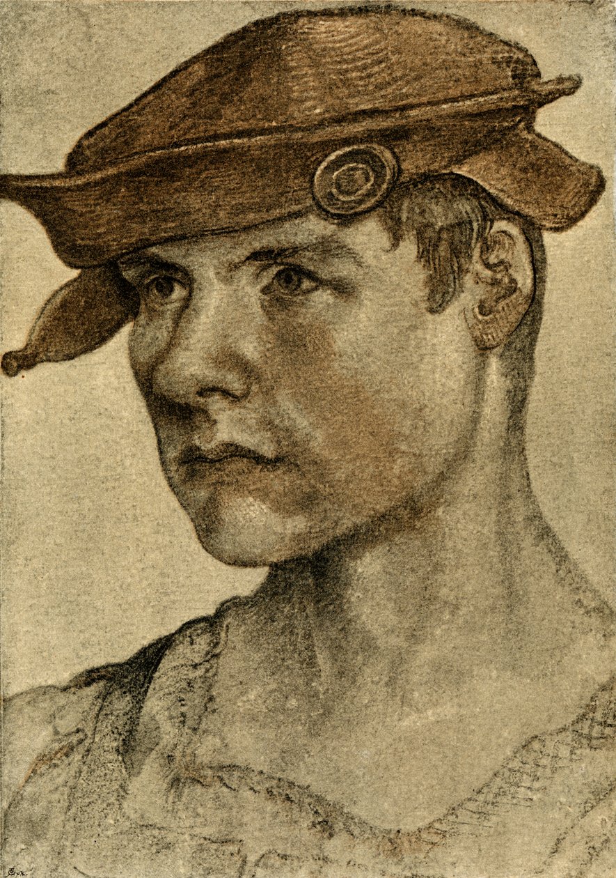 Portrét muže od Lucas Cranach the Elder