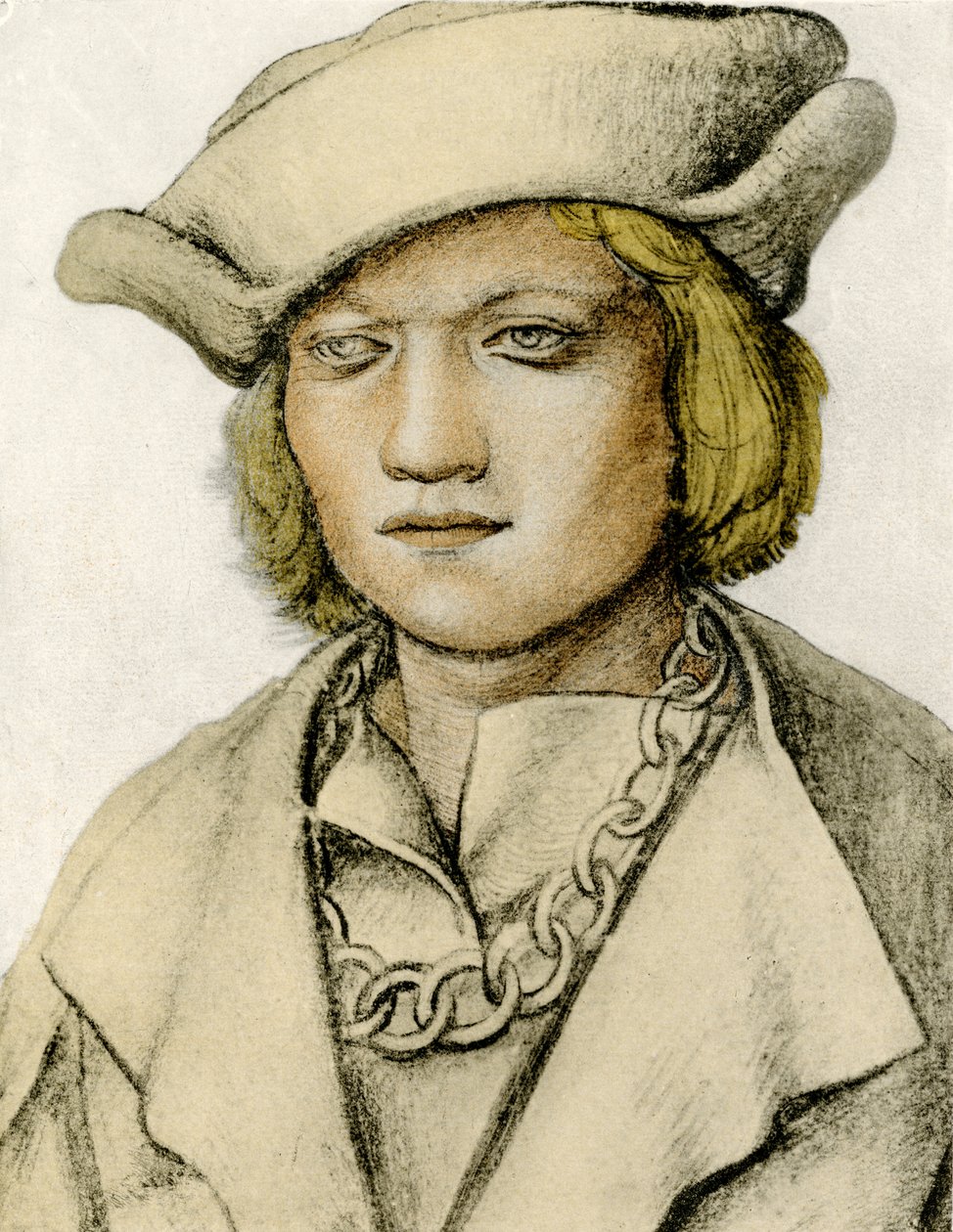 Portrét mladého muže s kloboukem od Lucas Cranach the Elder