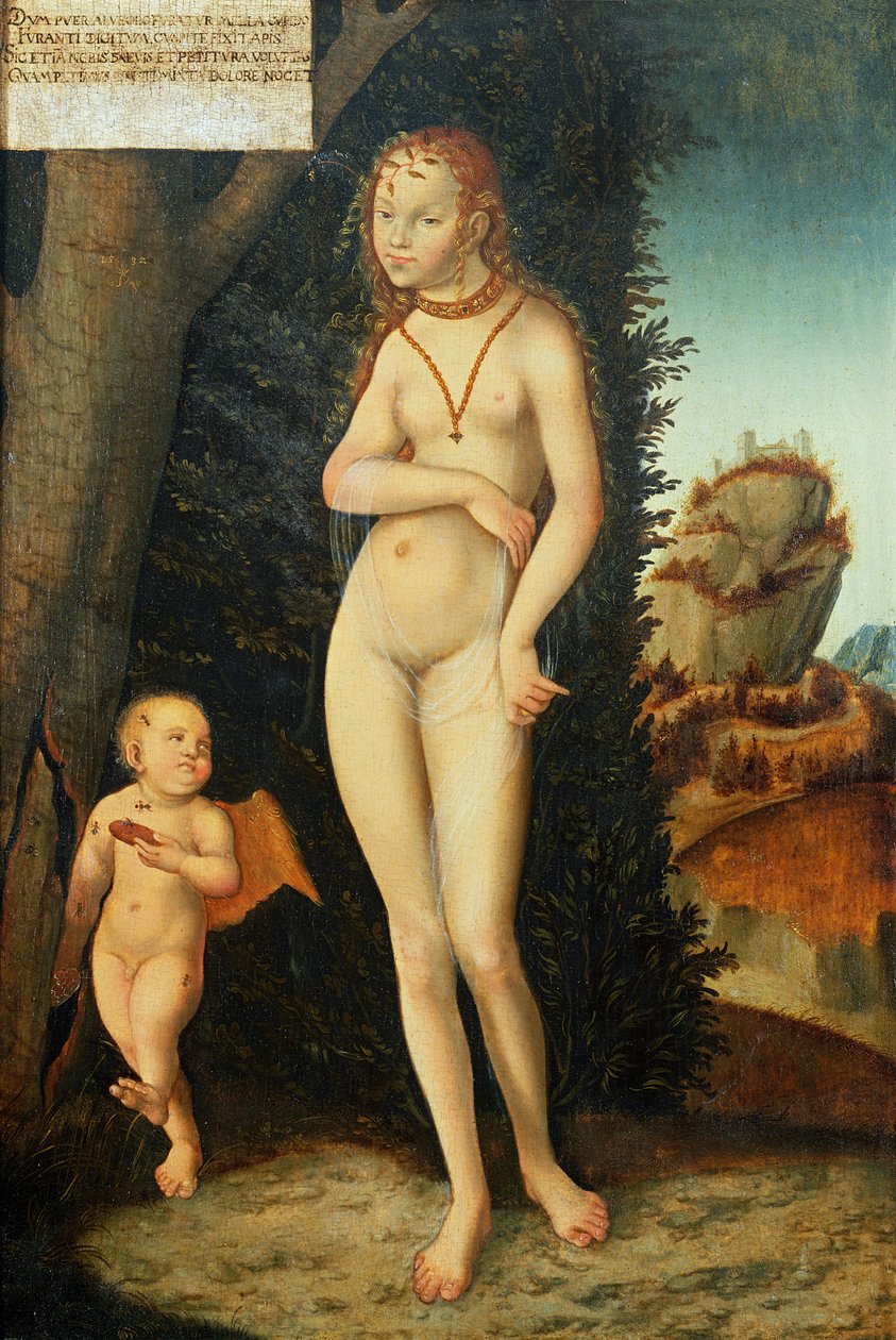 Neznámý obrázek od Lucas Cranach