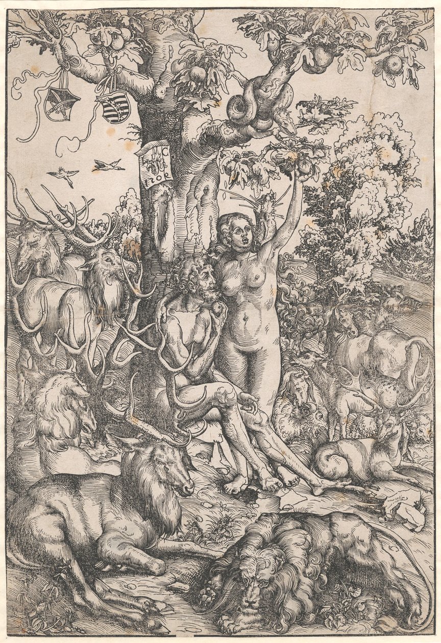 Pád člověka od Lucas Cranach d.Æ.