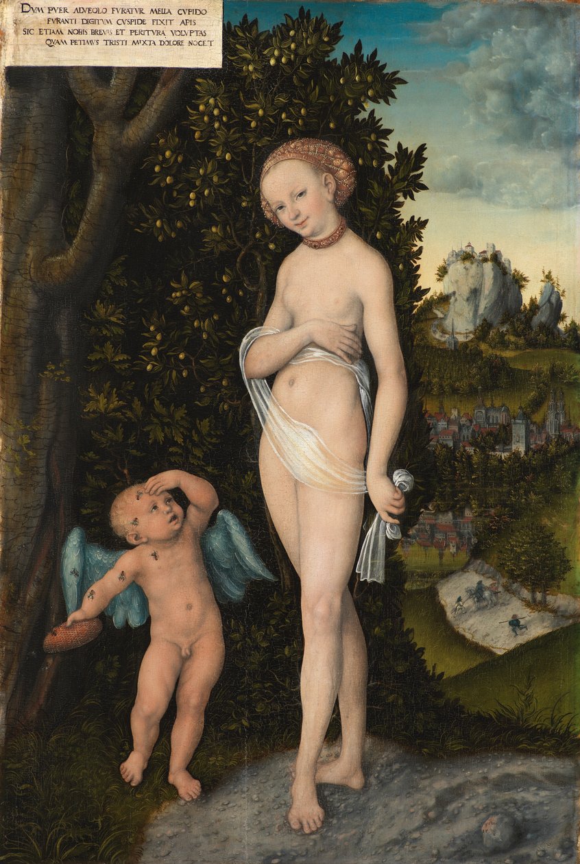Venuše s Amorem krade med od Lucas Cranach d.Æ.