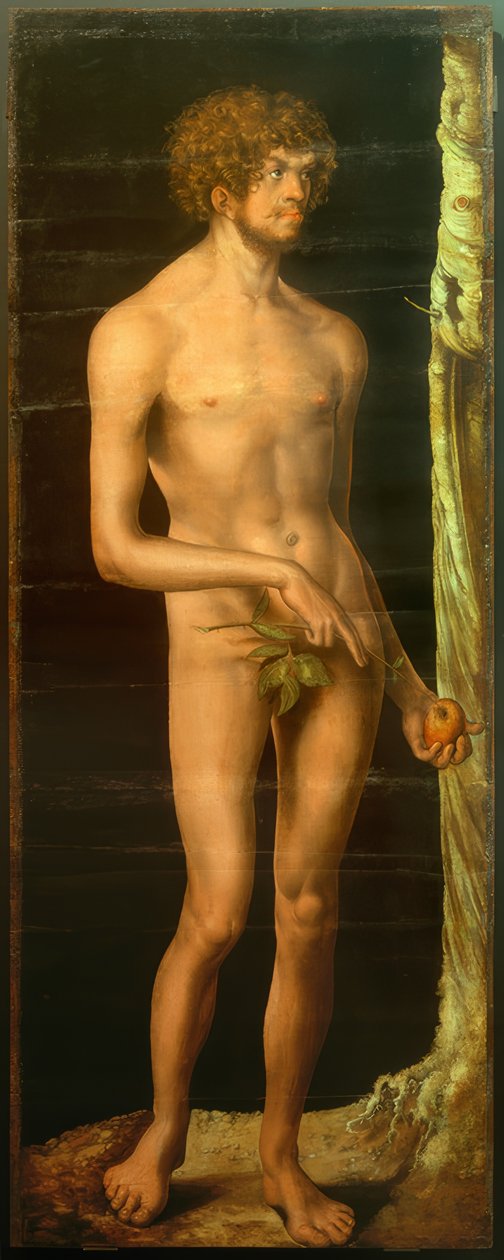 Adame od Lucas Cranach the Elder