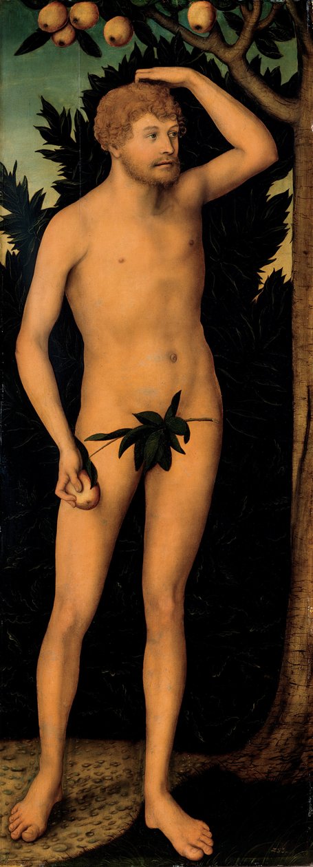 Adam, po roce 1537 od Lucas Cranach the Elder