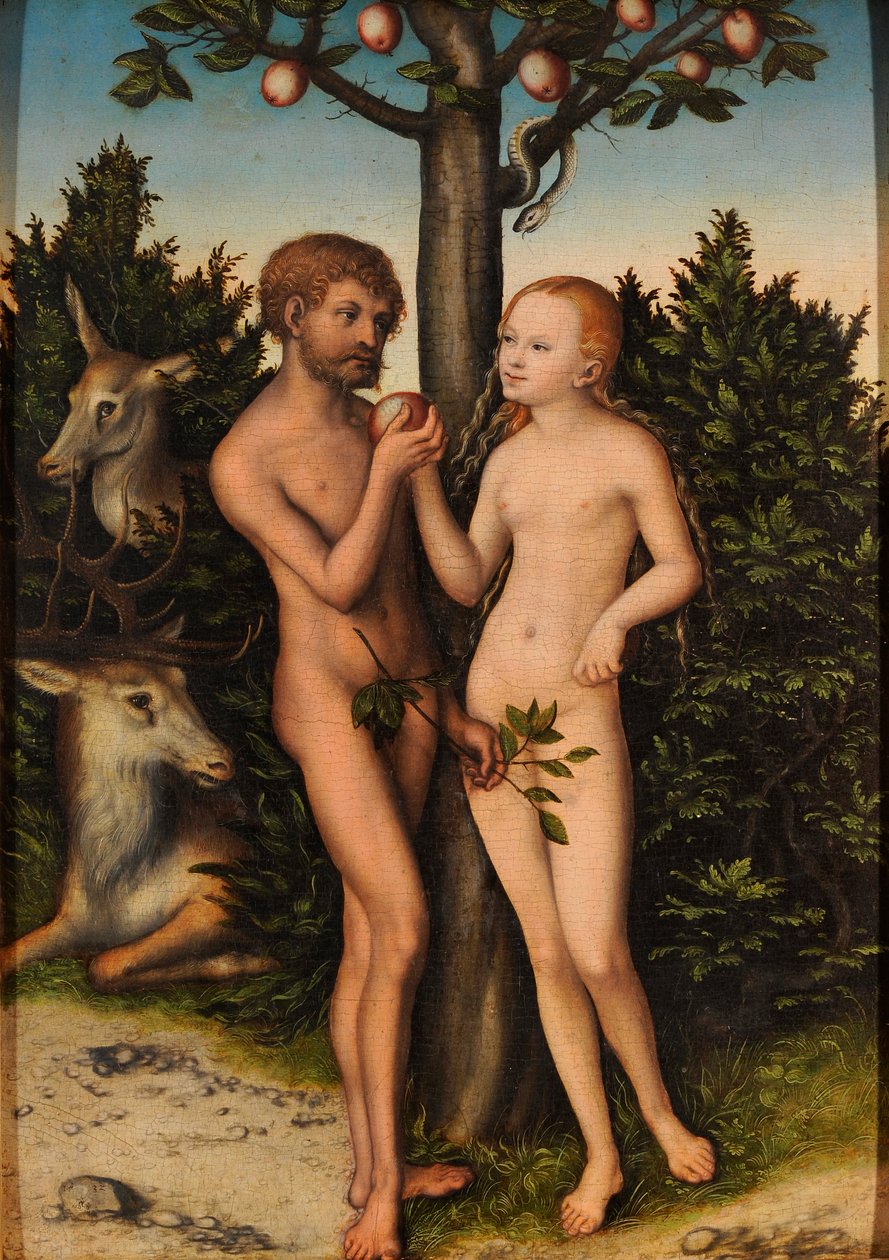 Adam a Eva







































 / Pád člověka od Lucas Cranach the Elder
