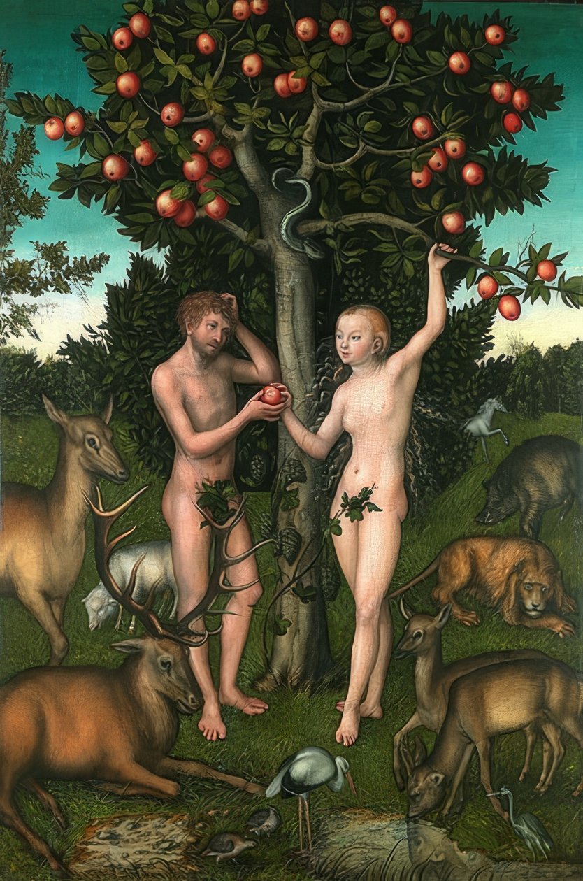 Adam a Eva. 1526 od Lucas Cranach the Elder