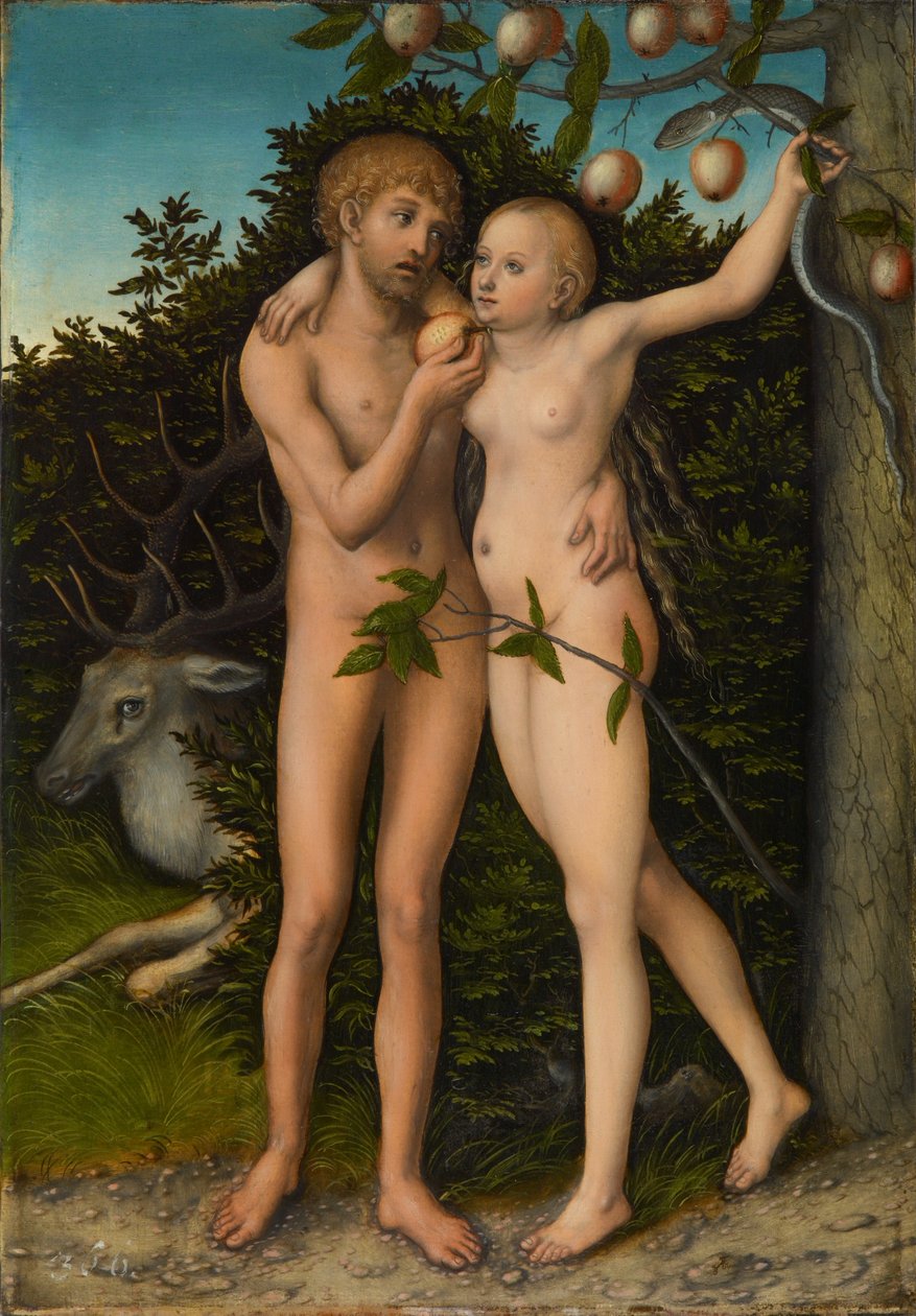 Německy: Sündenfall Pád člověka od Lucas Cranach the Elder