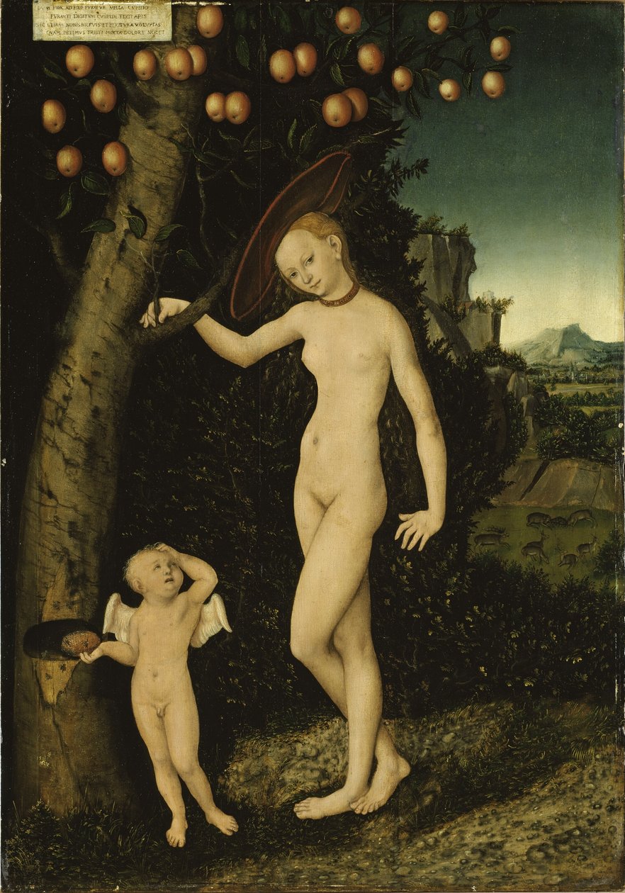 Německy: Venus mit Amor als Honigdieb Venuše a Amor jako zloděj medu od Lucas Cranach the Elder