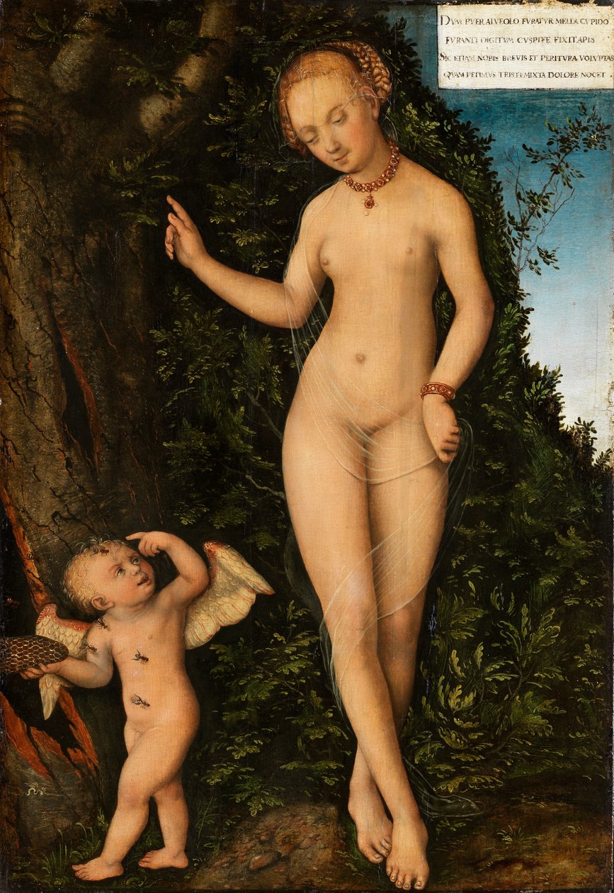 Německy: Venus mit Amor als Honigdieb Venuše s Amorem zlodějem medu od Lucas Cranach the Elder