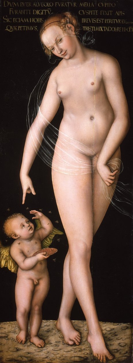 Německy: Venus und Amor als Honigdieb Venuše s Amorem kradou med od Lucas Cranach the Elder