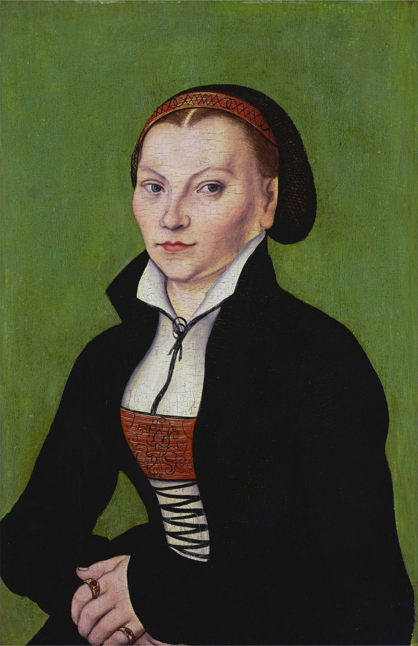 Kateřina z Bory, v polovině délky, obrácená vlevo od Lucas Cranach the Elder