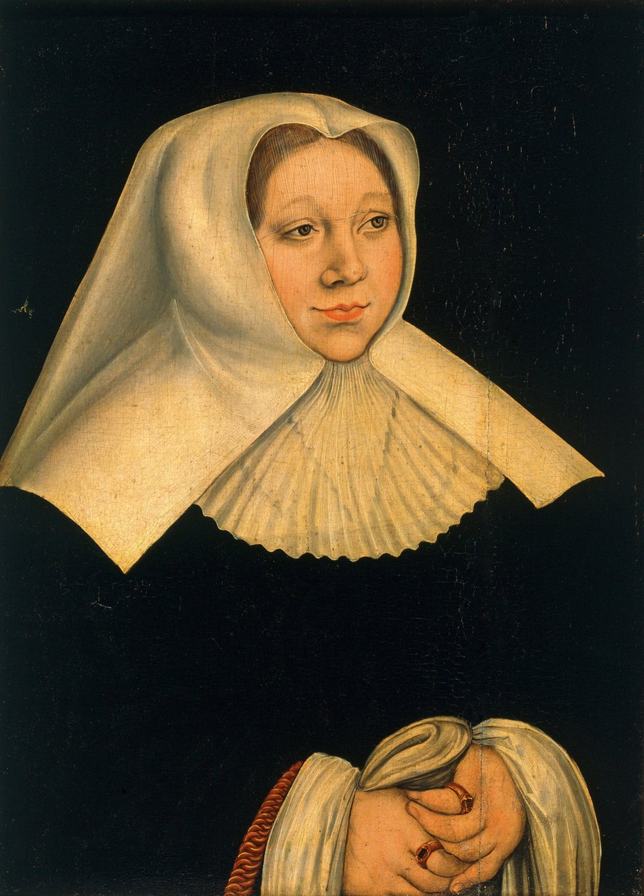 Portrét Markéty Rakouské 1480-1530, cca 1530 od Lucas Cranach the Elder