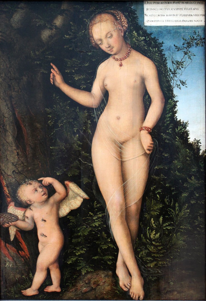 Venuše a Amor, zloděj medu od Lucas Cranach the Elder