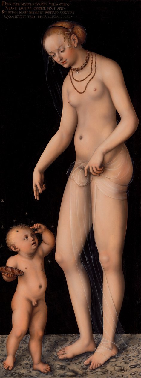 Venuše s Amorkem jako zlodějem medu od Lucas Cranach the Elder