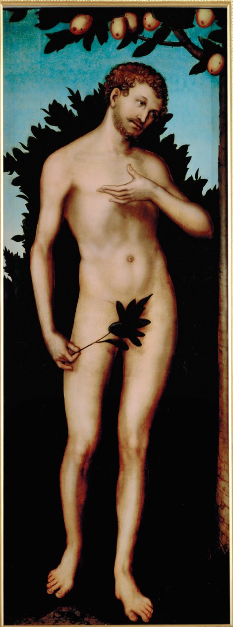 Adam od Lucas the Elder Cranach