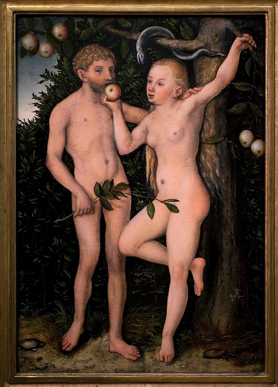 Adam a Eva. Malba Lucase Cranacha bývalého (1472-1553), kolem roku 1538. Vlámské umění 16. století. Národní galerie, Šternberský palác, Praha (Česká republika). od Lucas the Elder Cranach