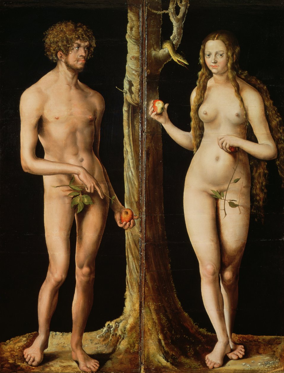 Adam a Eva, kolem 1508-10 (olej a tempera na vápně) (viz také 159264) od Lucas the Elder Cranach