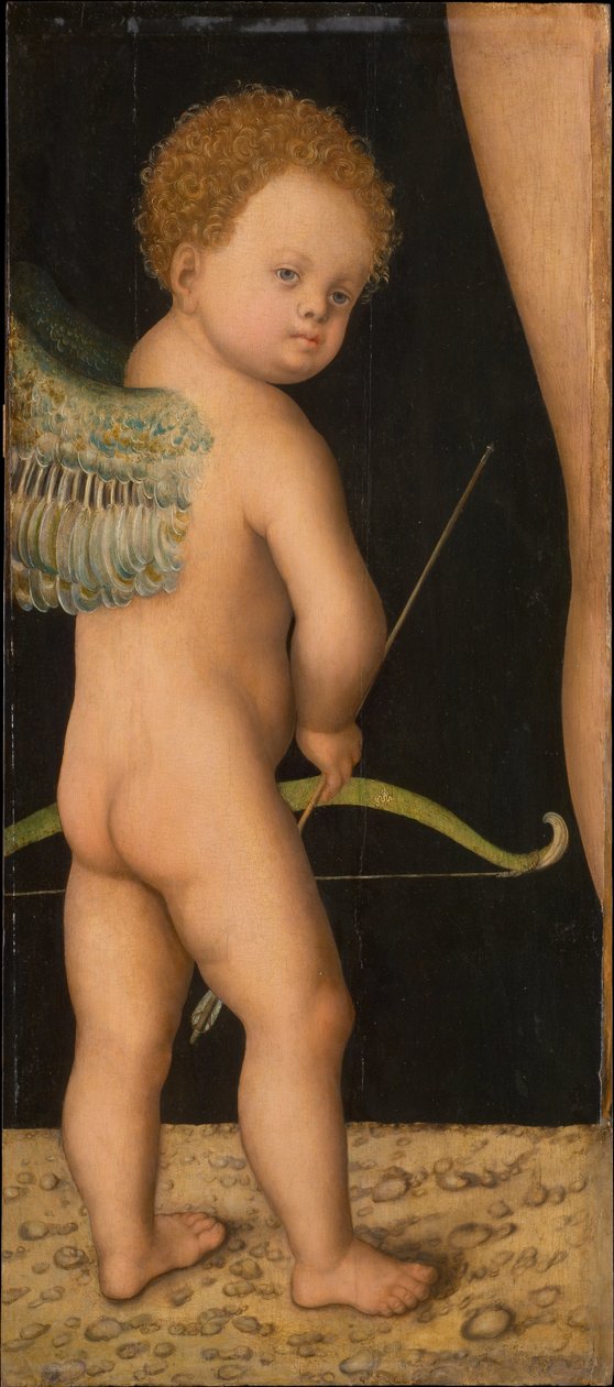Amour - Amor, Cranach, Lucas, starší (1472-1553). Olej na dřevě, cca 1530. Rozměr : 81x36 cm. Uměleckohistorické muzeum, Vienne od Lucas the Elder Cranach