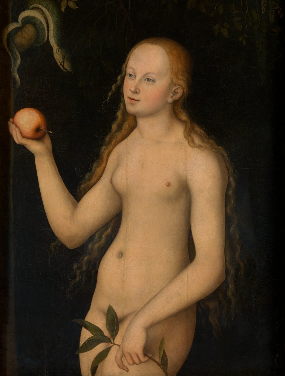 Eve (olej na panelu) od Lucas the Elder Cranach