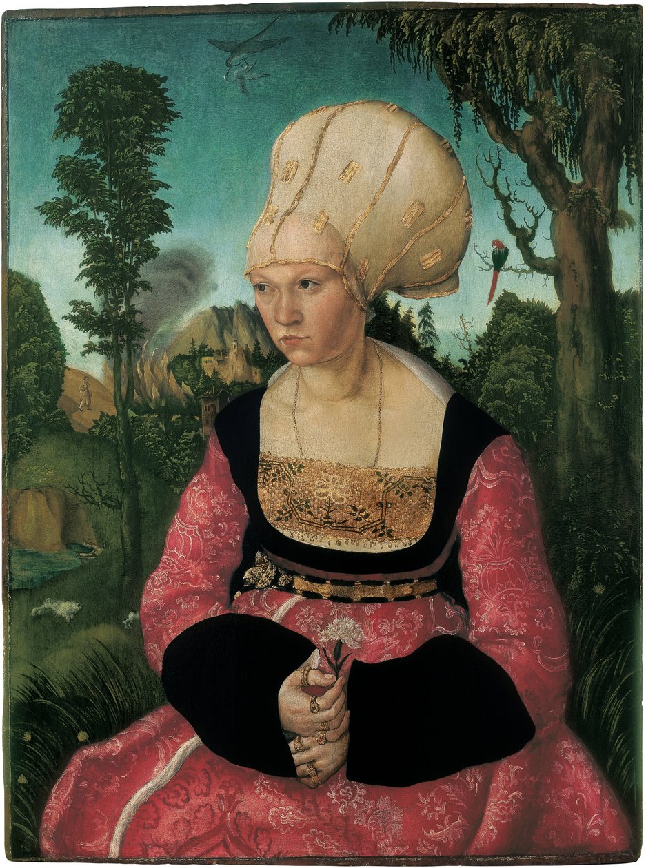Portrét Anny Cuspinian, Cranach, Lucas, starší (1472-1553). Olej na dřevě od Lucas the Elder Cranach