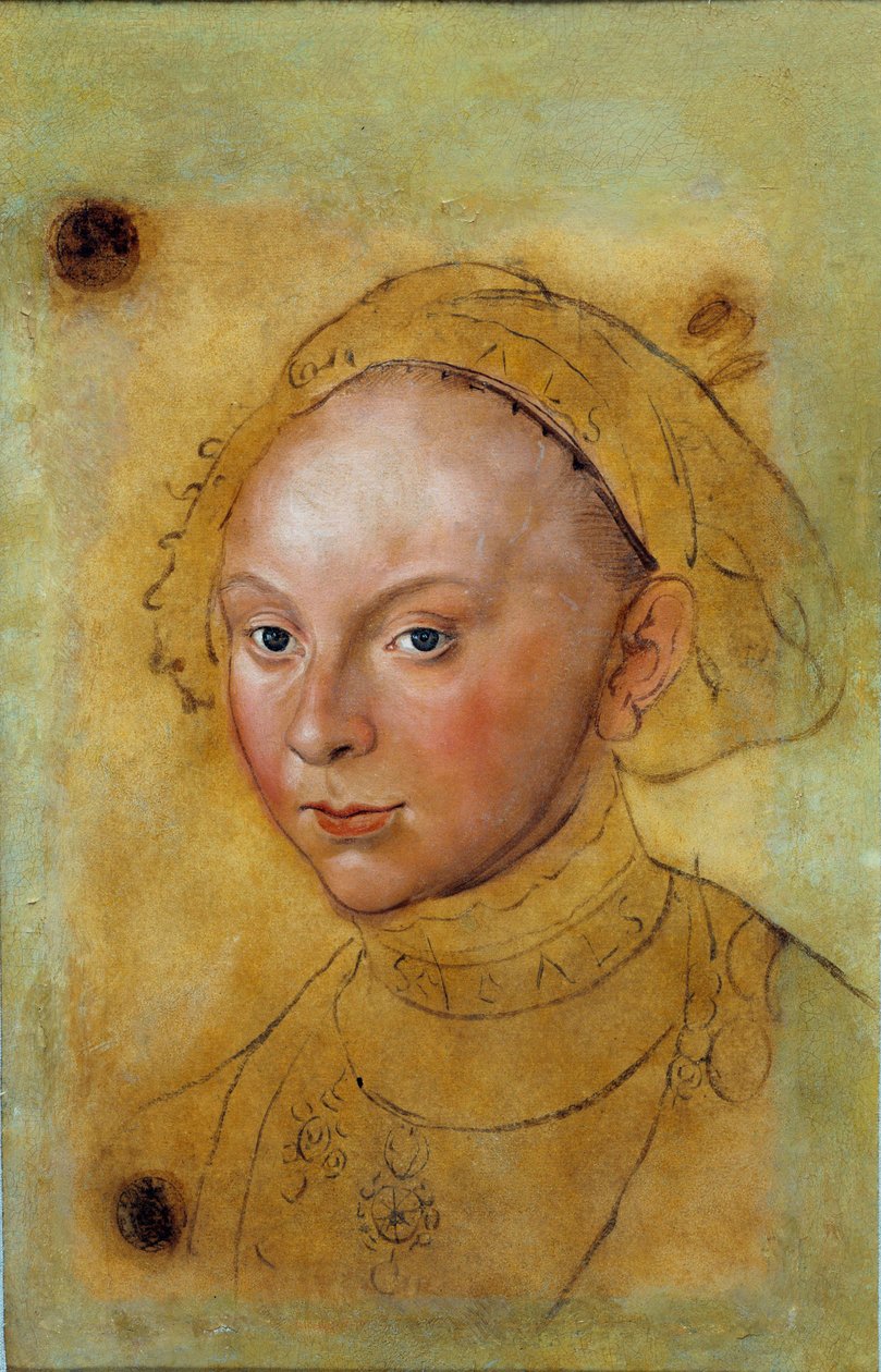 Portrét Catherine de Brunswick Grubenhagen Malba Lucase Cranacha (1472-1553) od Lucas the Elder Cranach