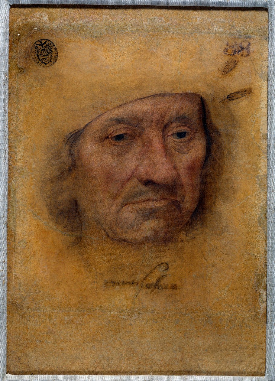 Portrét doktora Petruse von Clapis Kresba pastelem Bruyna ze školy Lucase Cranacha Starého (neboli Staršího od Lucas the Elder Cranach