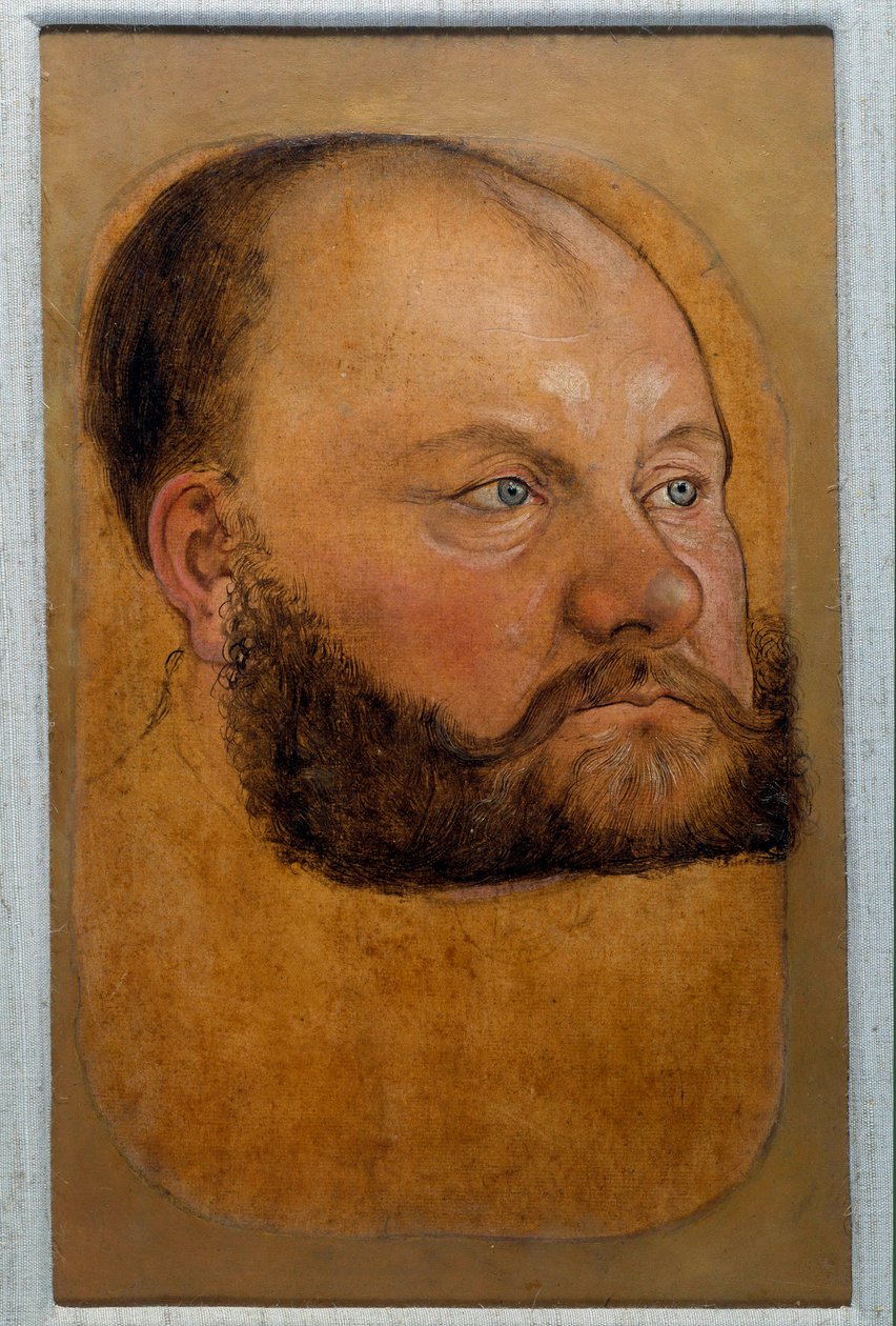 Portrét prince Wolfa Anhalta ze Saska, prince reformy Pastelová kresba Lucase Cranacha Starého (nebo Staršího) od Lucas the Elder Cranach