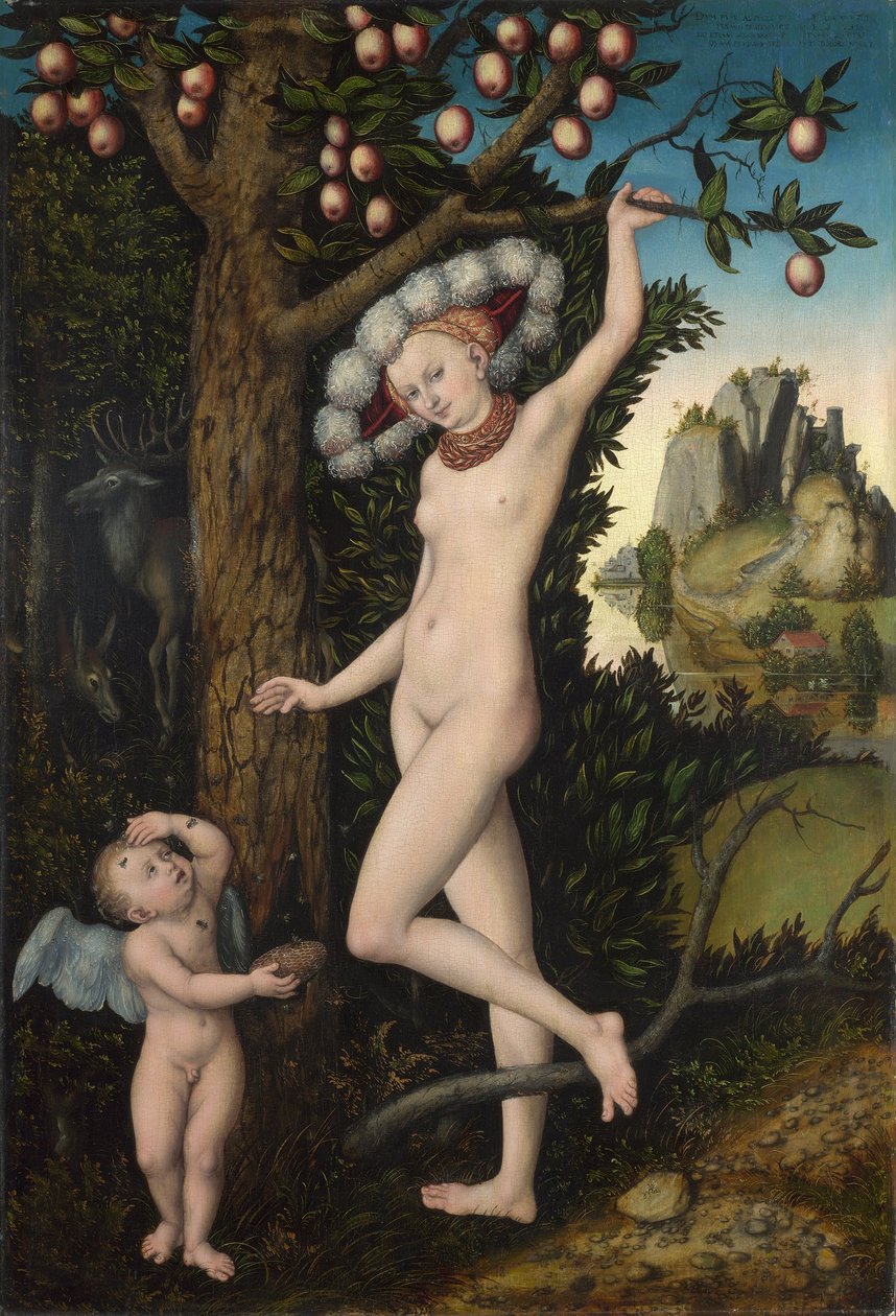 Venuše a Amor, cca 1525 (olej na dřevě) od Lucas the Elder Cranach