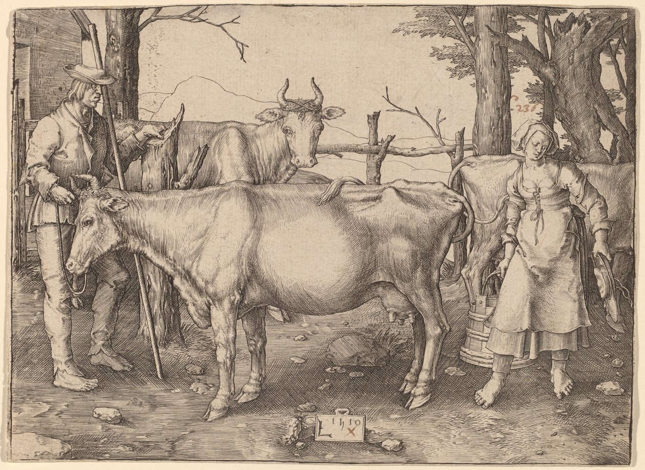Dojička od Lucas van Leyden