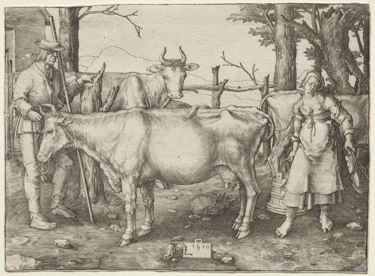 Dojička od Lucas van Leyden