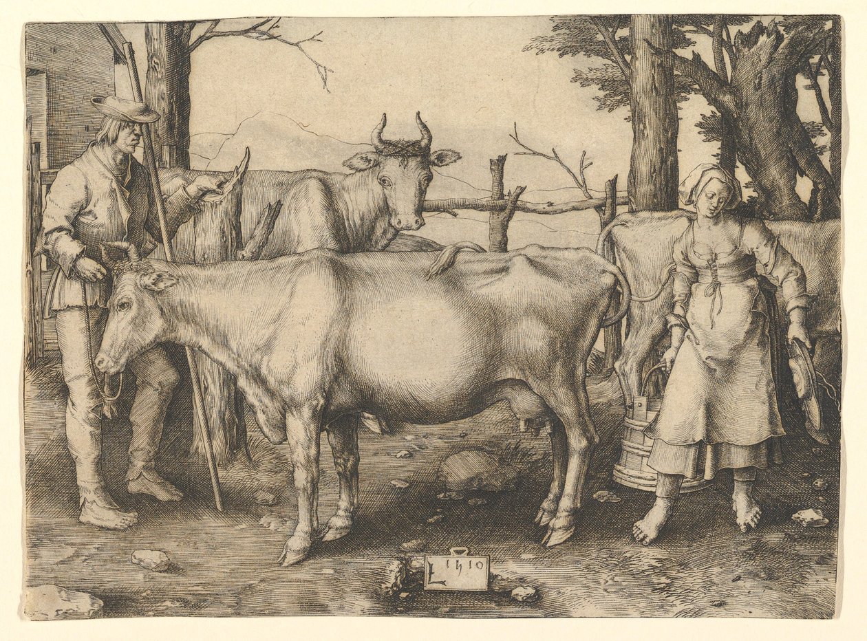 Mlékařka od Lucas van Leyden