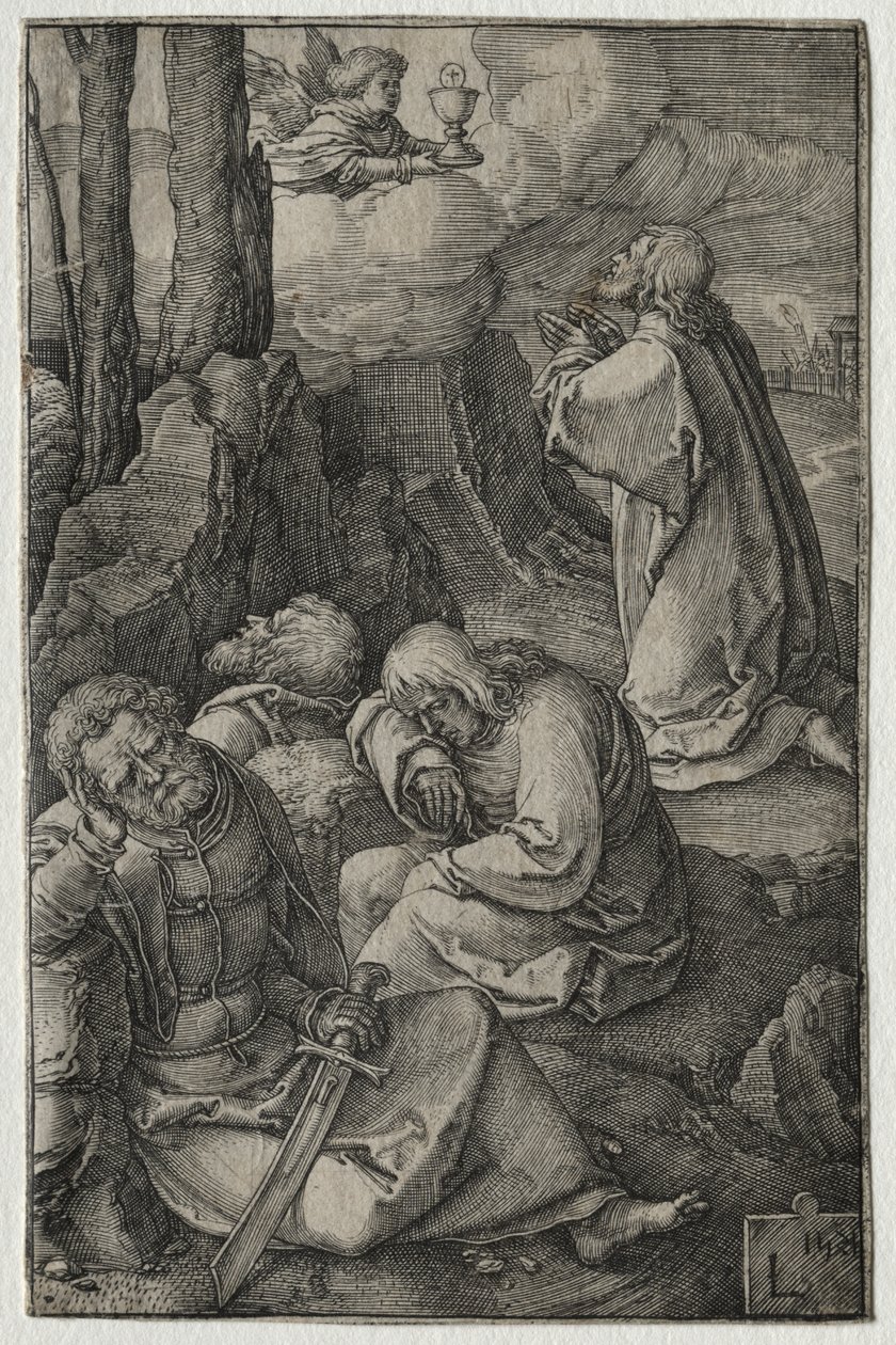 Vášeň: Agónie v zahradě od Lucas van Leyden