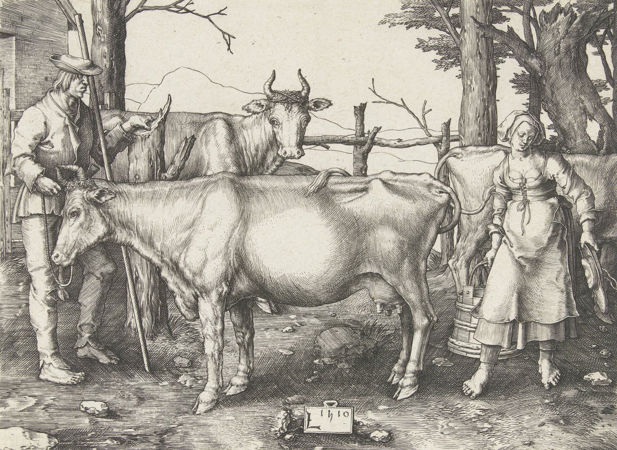 Dojička od Lucas van Leyden