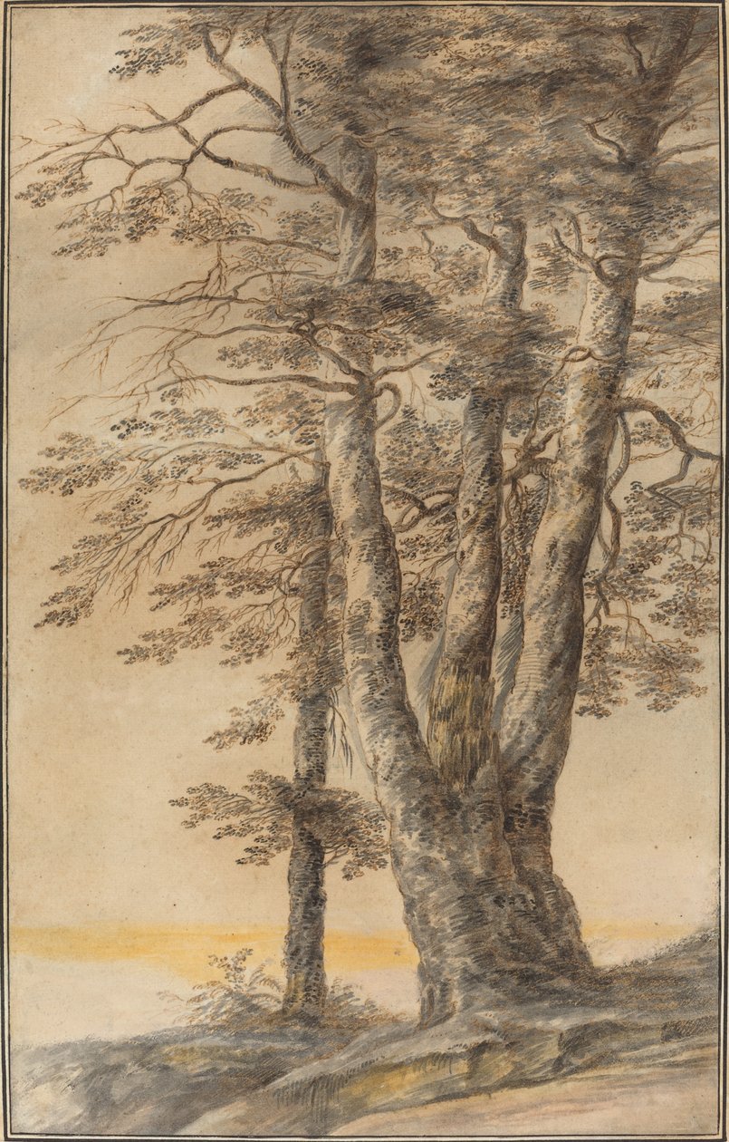 Studium stromů od Lucas van Uden