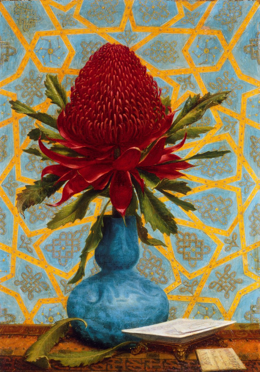 Waratah od Lucien Henry